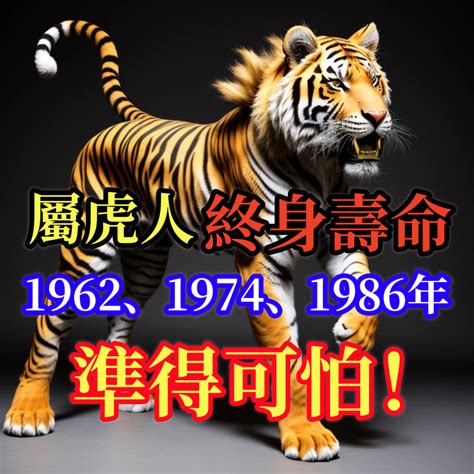 63年次五行|【63年次屬虎五行】63年次屬虎五行解析！木火水土，屬虎人命。